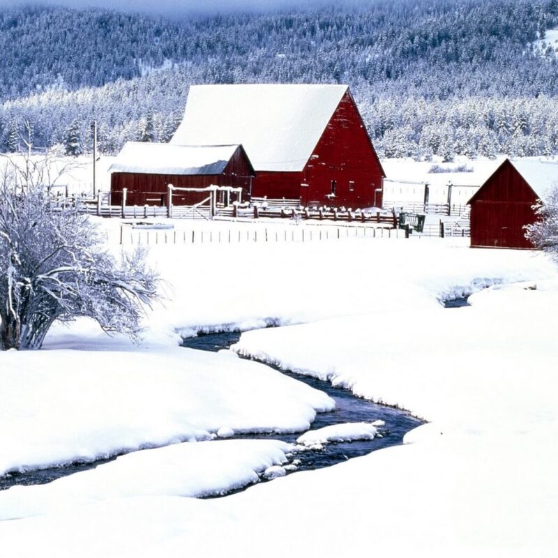 A serene winter landscape in Warren County, PA, featuring three rustic red barns with snow-covered roofs nestled in a snowy valley, with a winding, partially frozen stream in the foreground and a dense, frost-covered evergreen forest in the background.