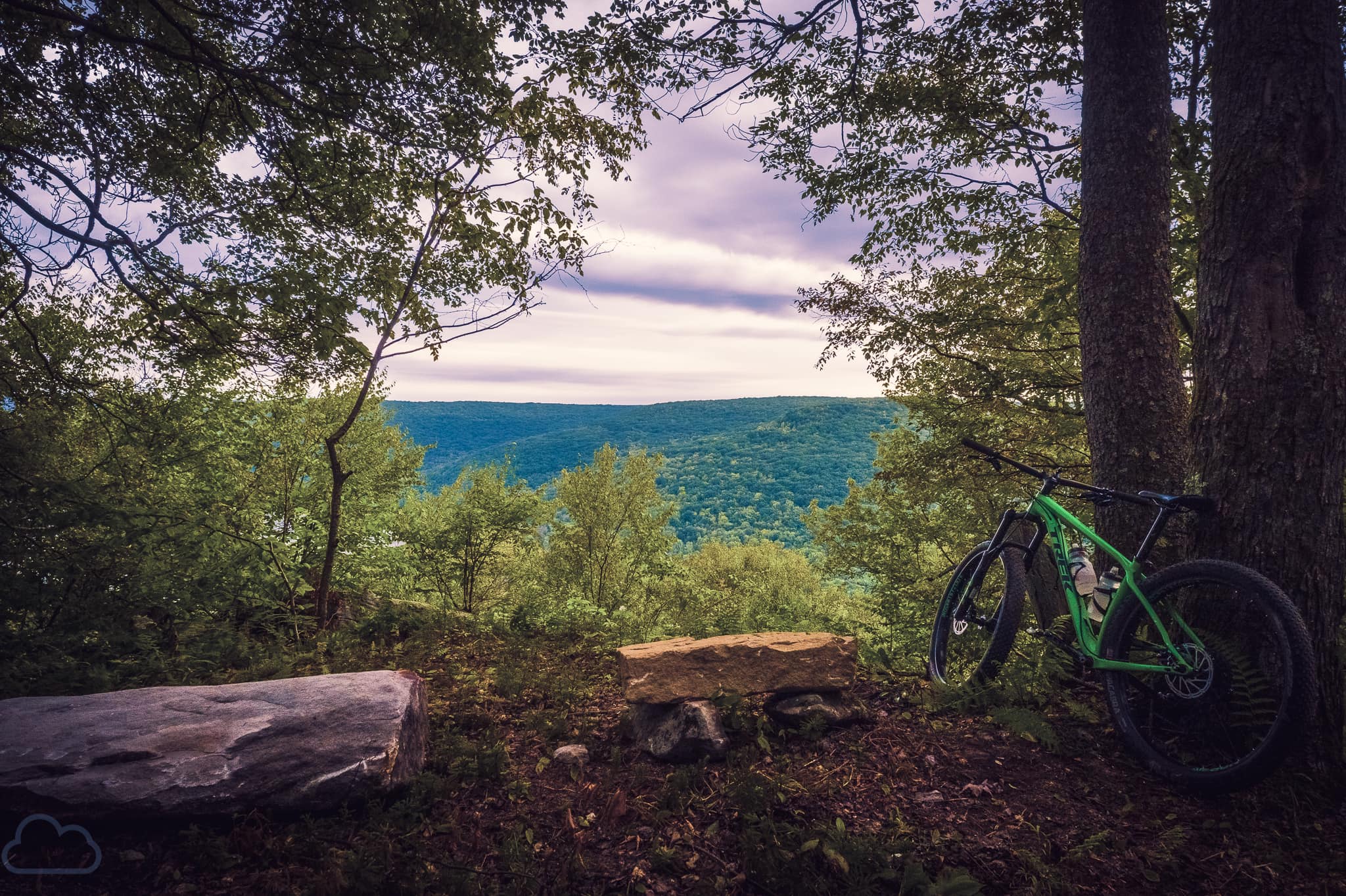 Green mountain bike leaned against a tree overlooking the lush green Allegheny National Forest valley at the Trails at Jakes Rocks in Warren County PA.